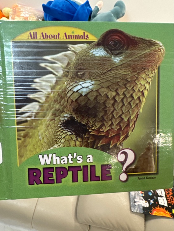 What's a reptile