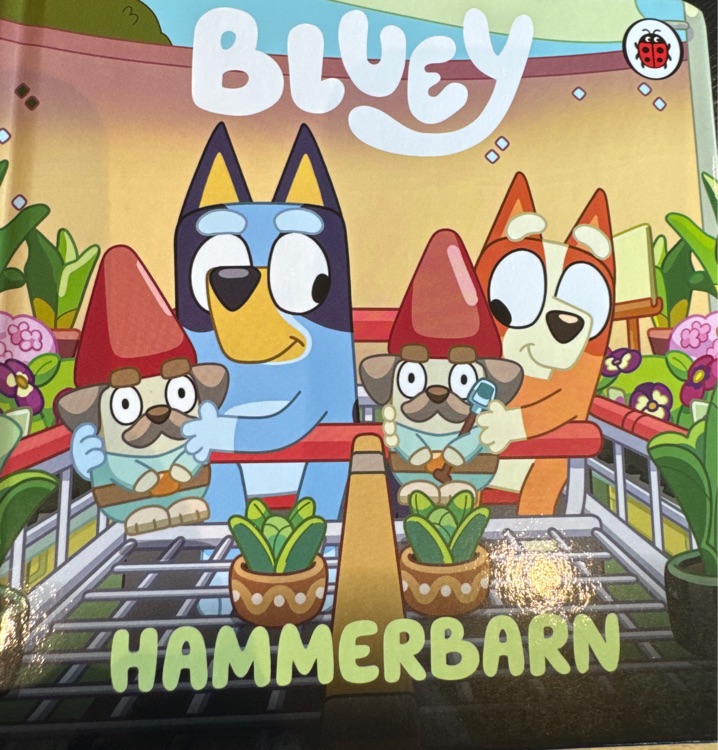 Bluey Hammerbarn