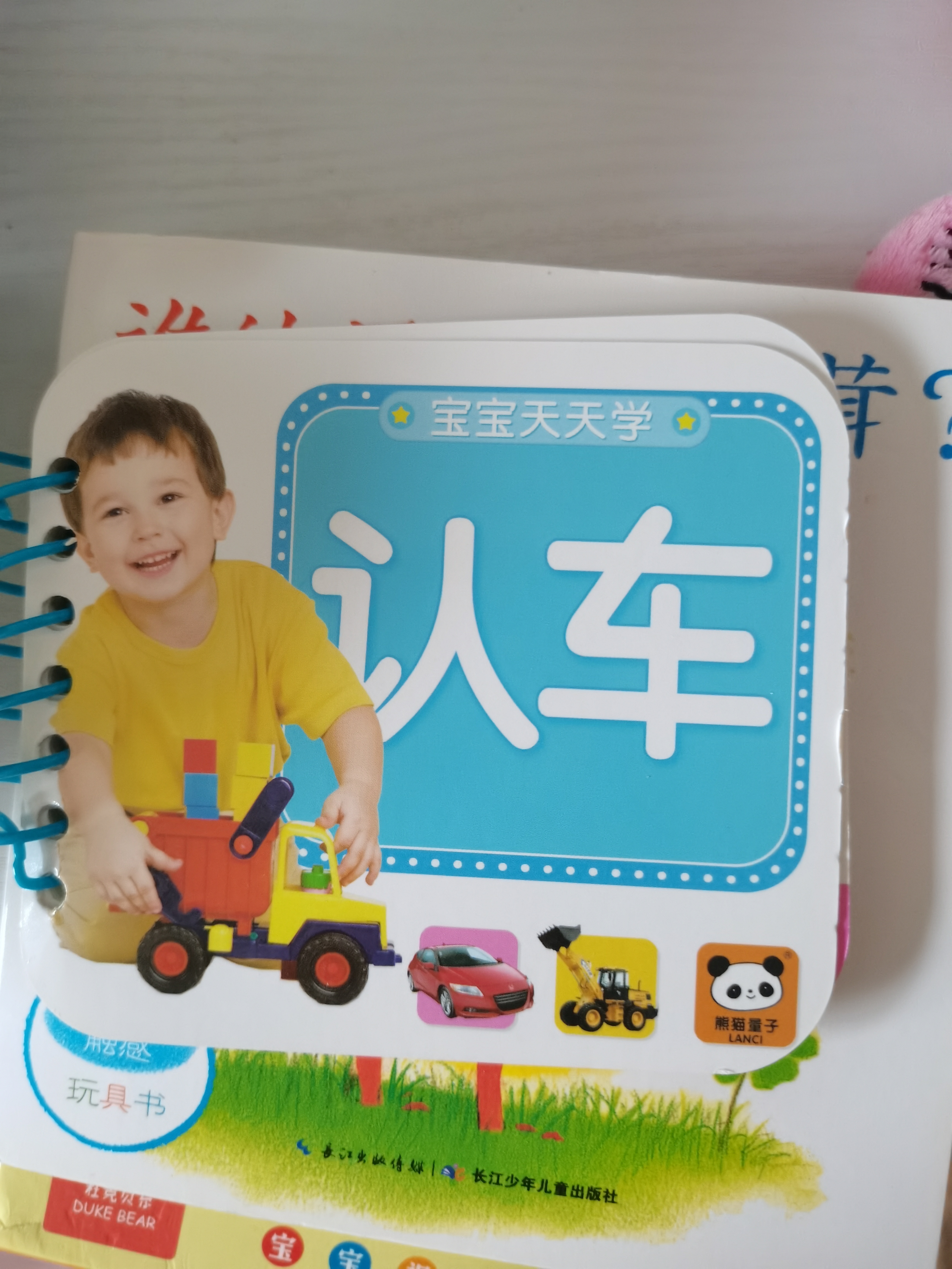 寶寶書