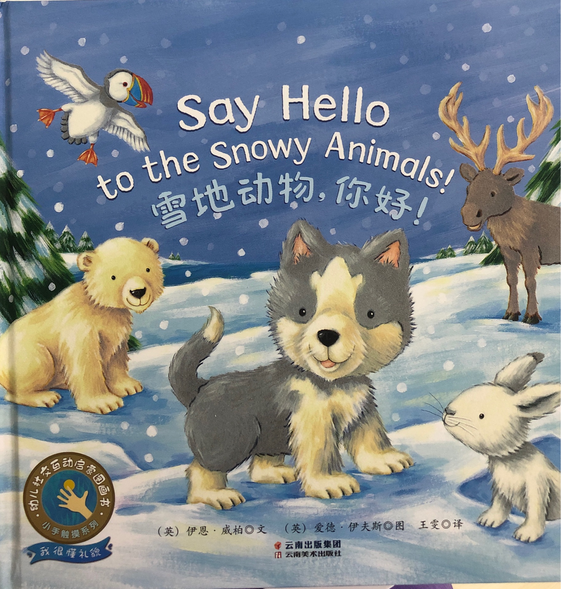 say hello to the snowy animals 雪地動(dòng)物你好