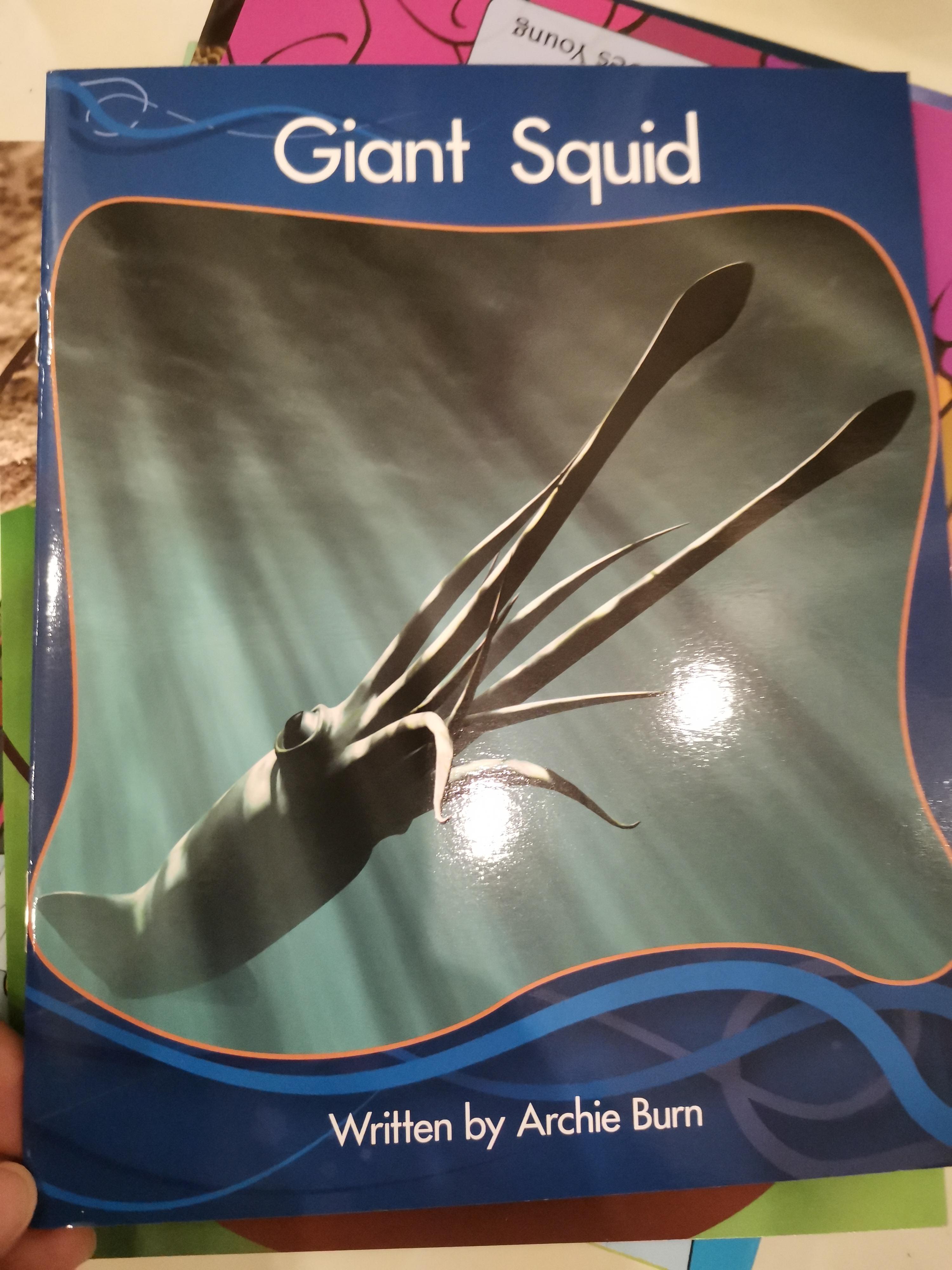 giant squid