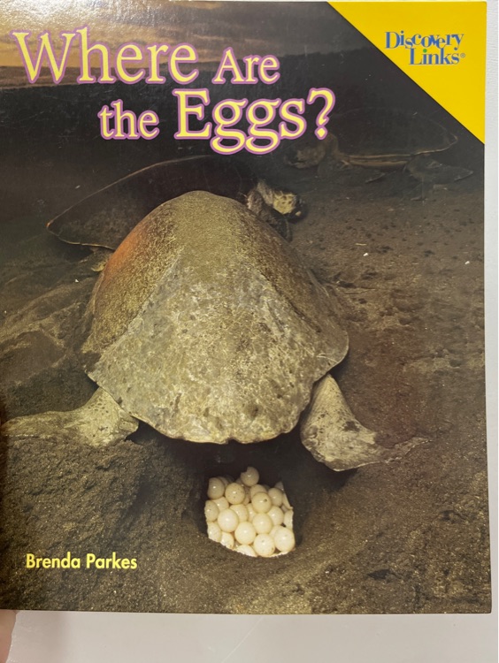 Where Are the Eggs?