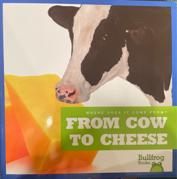 from cow to cheese