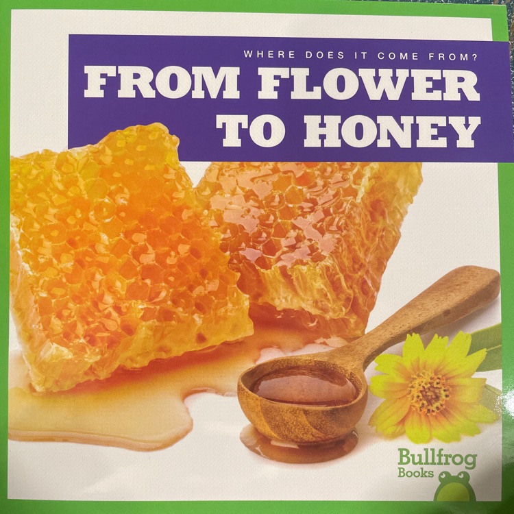 bullfrog books from flower to honey