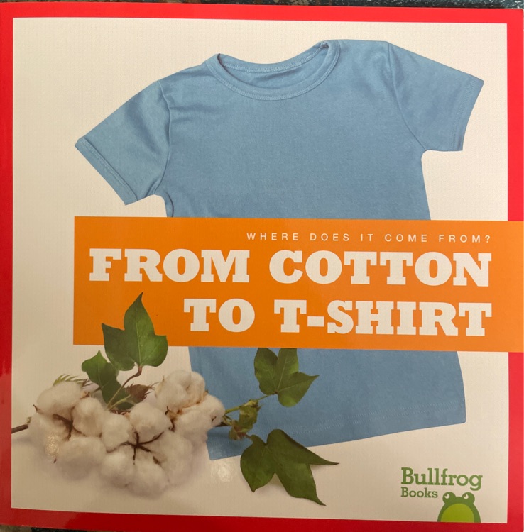 from cotton to T-shurt