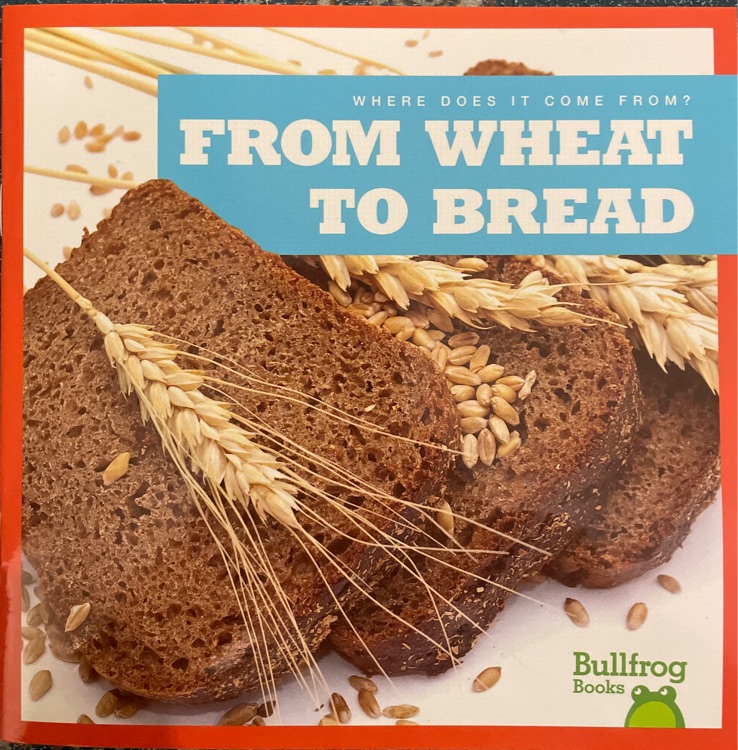 from wheat to bread