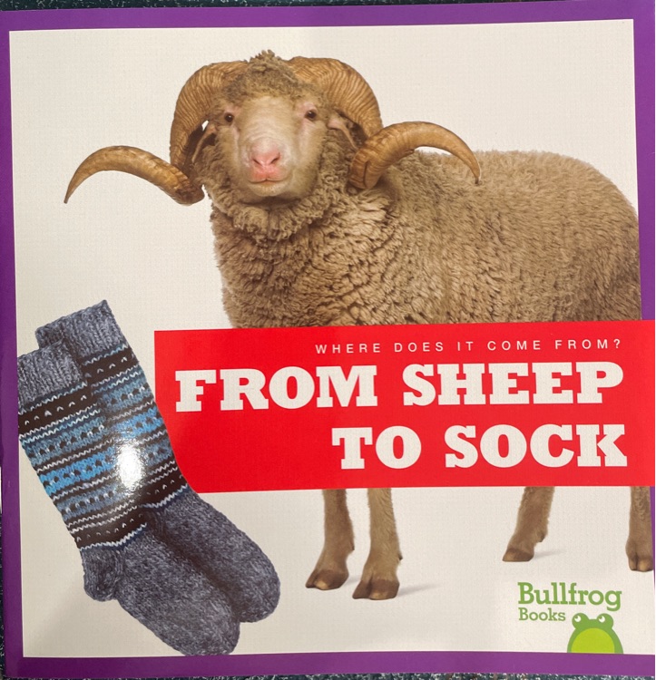 from sheep to sock