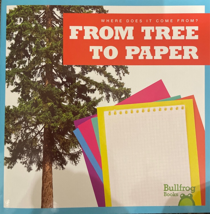 from tree to paper