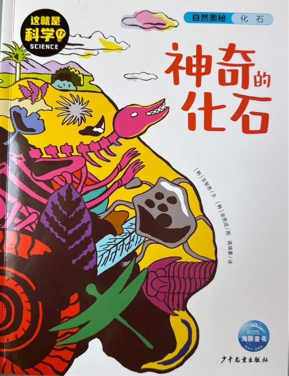 神奇的化石17