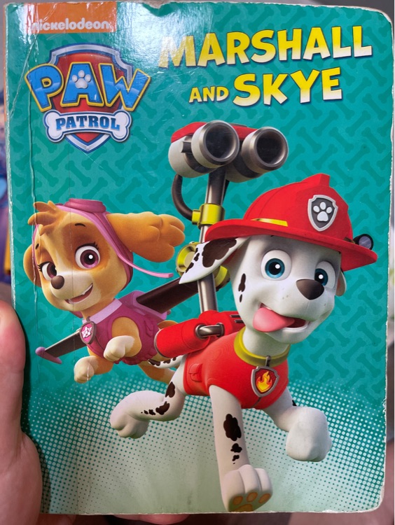 Paw patrol Marshall and sky