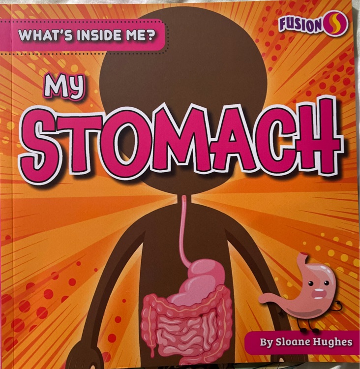 What's inside me? My stomach