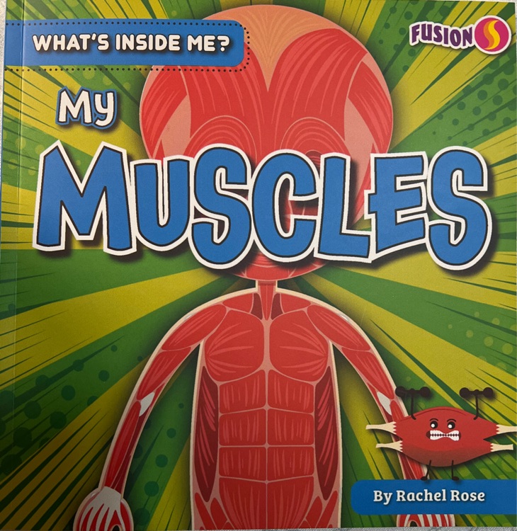 What's inside me? My Muscles