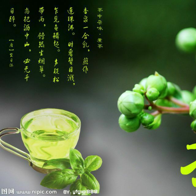 碧茶清心