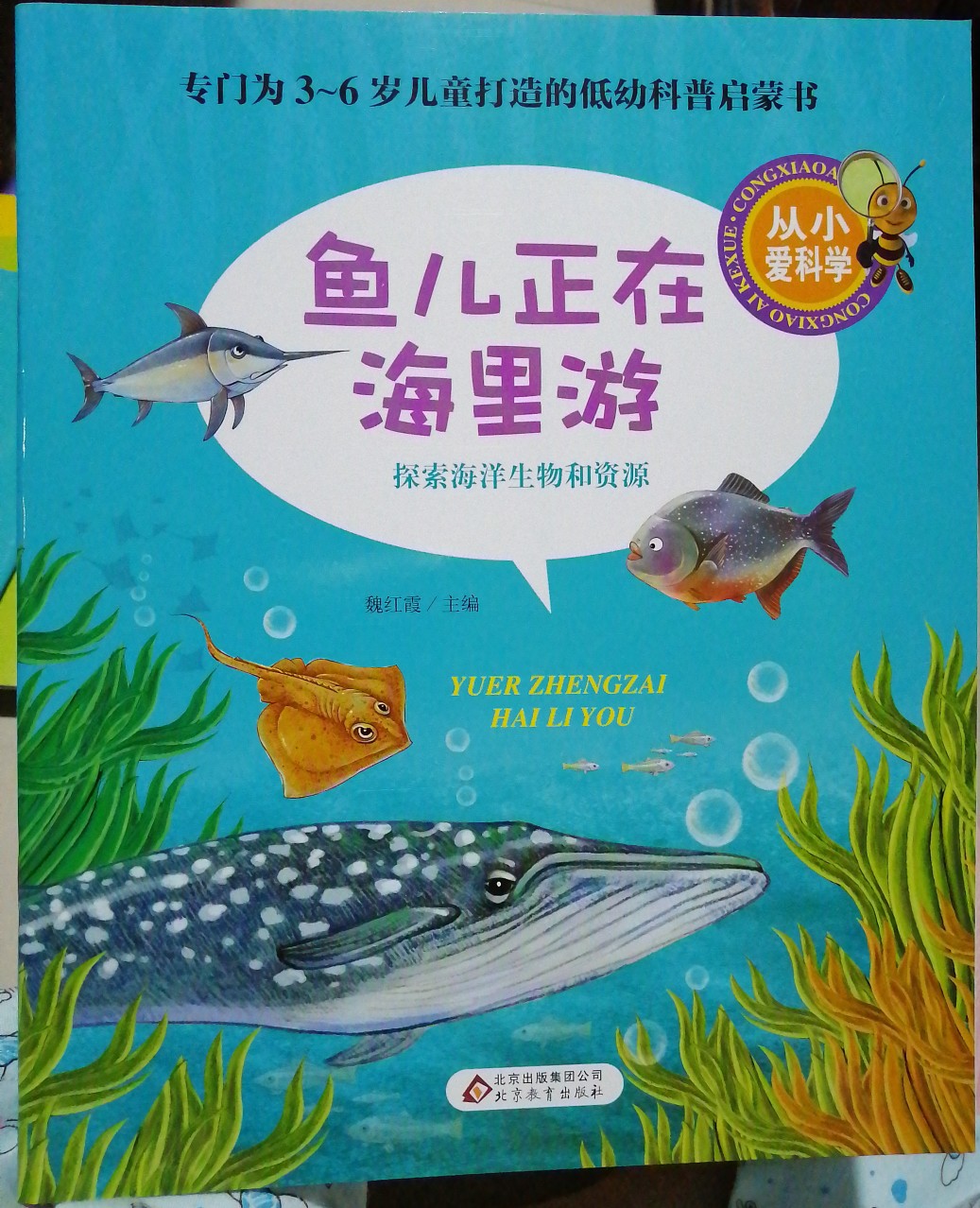 從小愛科學(xué)·魚兒正在海里游