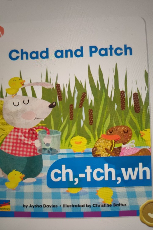 chad and patch