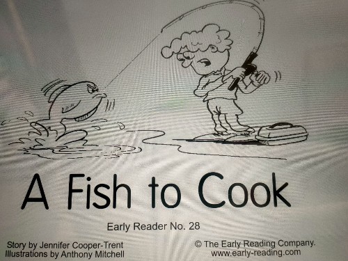 a fish to cook