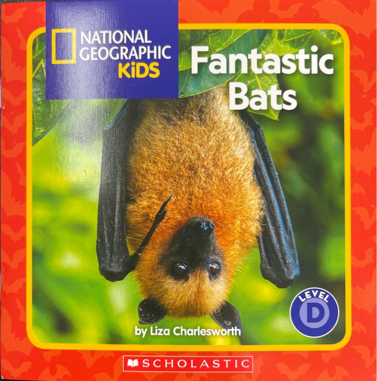 fantastic bats