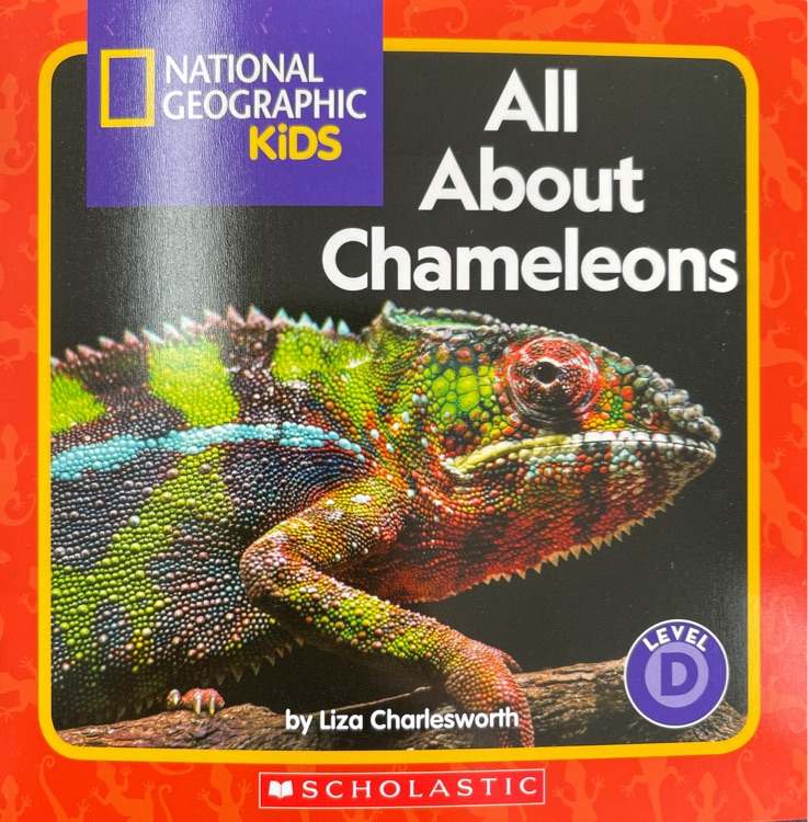 all about chameleons