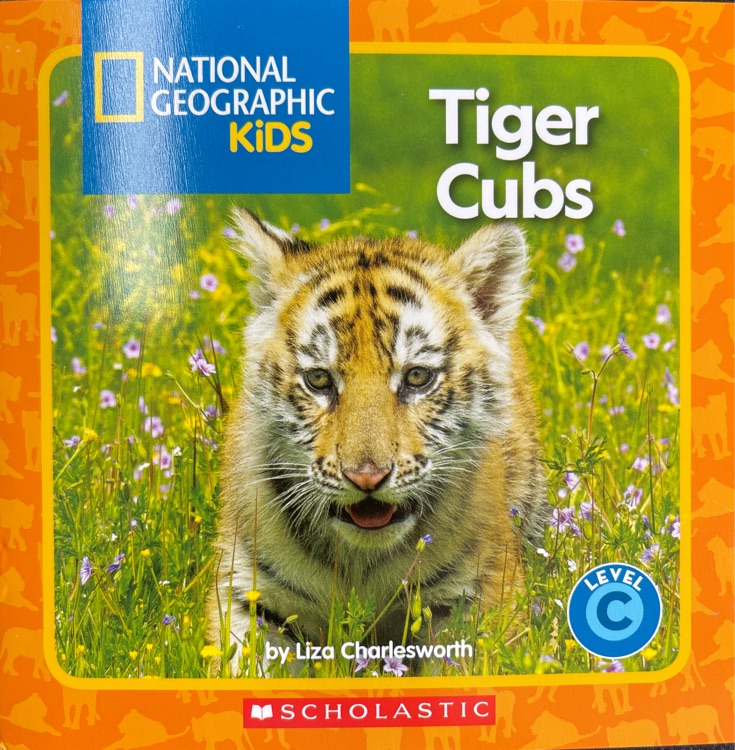 tiger cubs