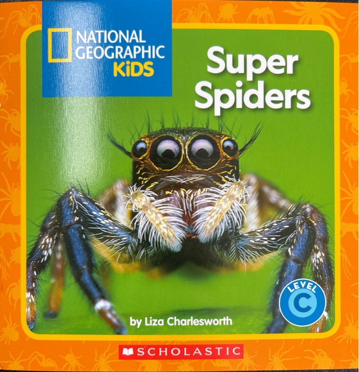 Super Spiders