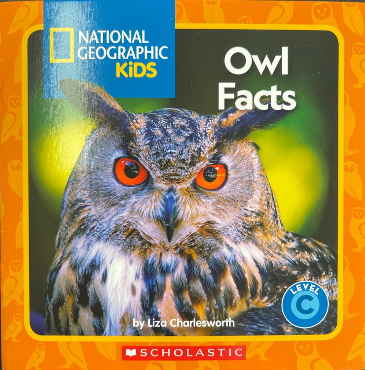 Owl facts