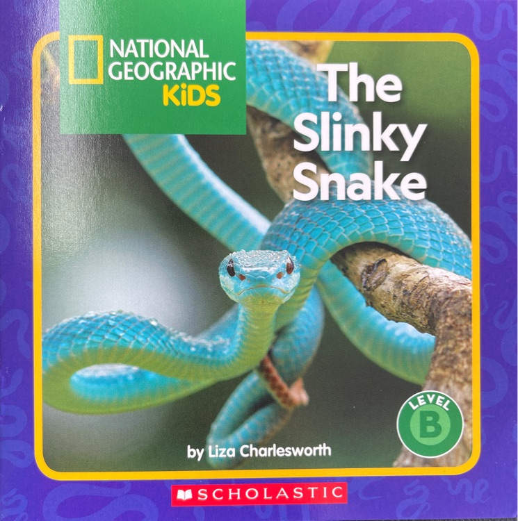 The Slinky Snake