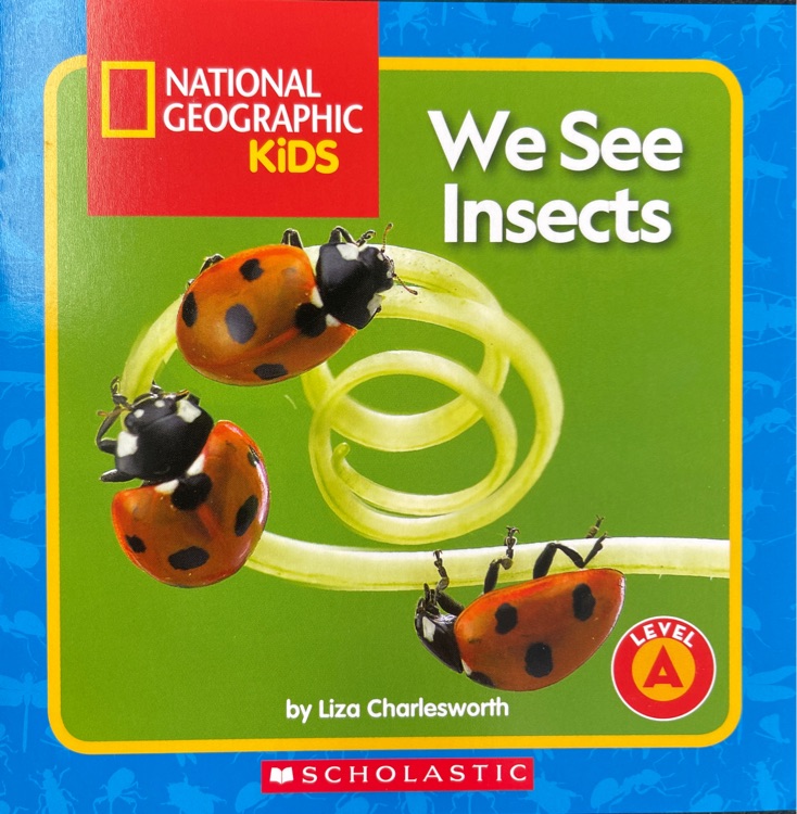 We see insects