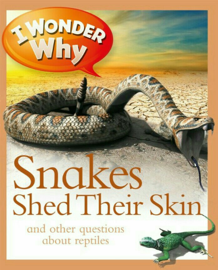 I Wonder Why Snakes Shed Their Skin