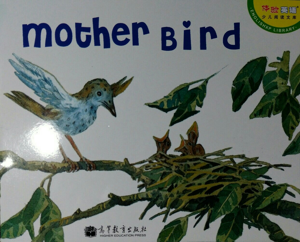 Mother Bird