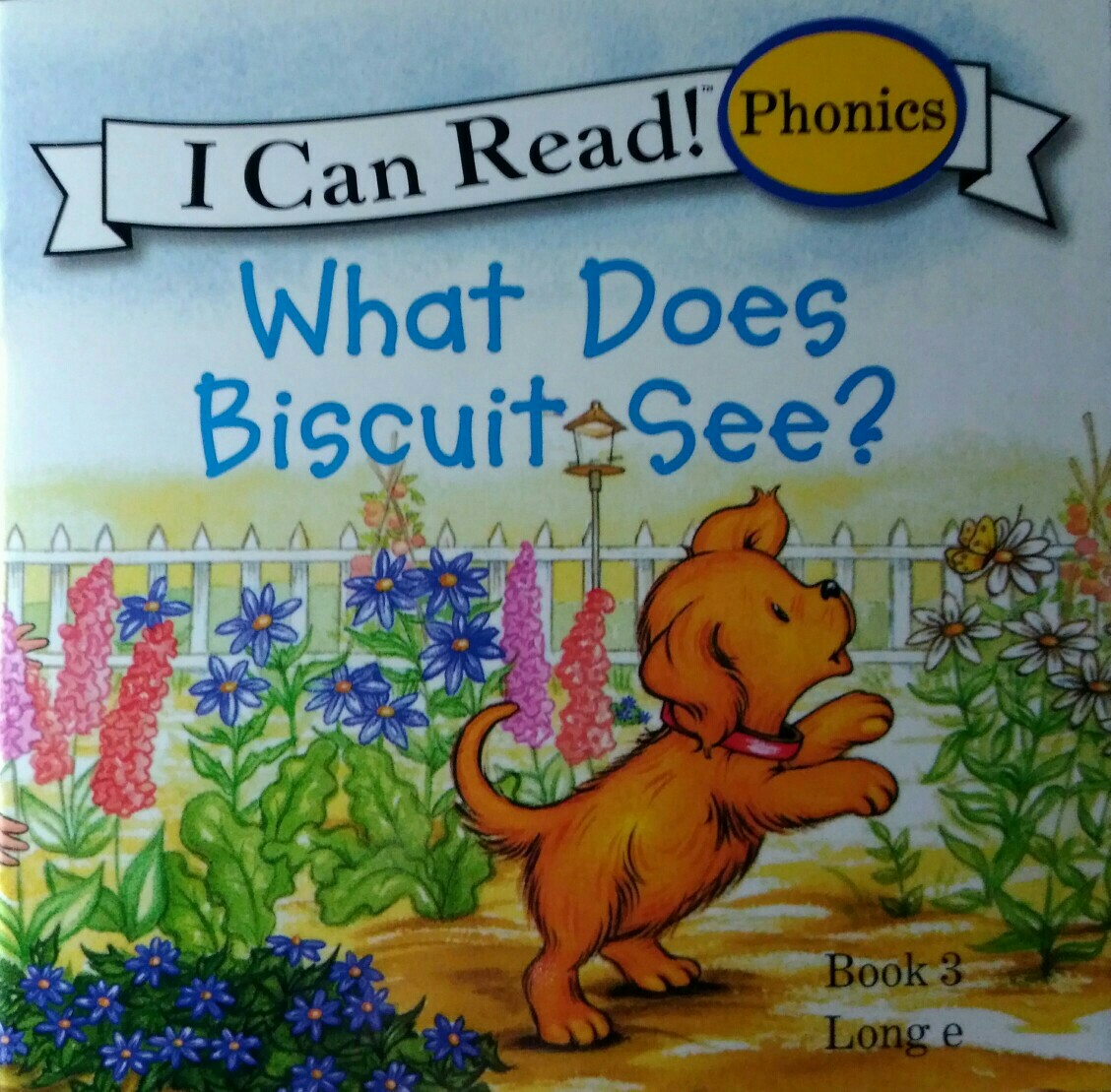 3.What Does Biscuit See?