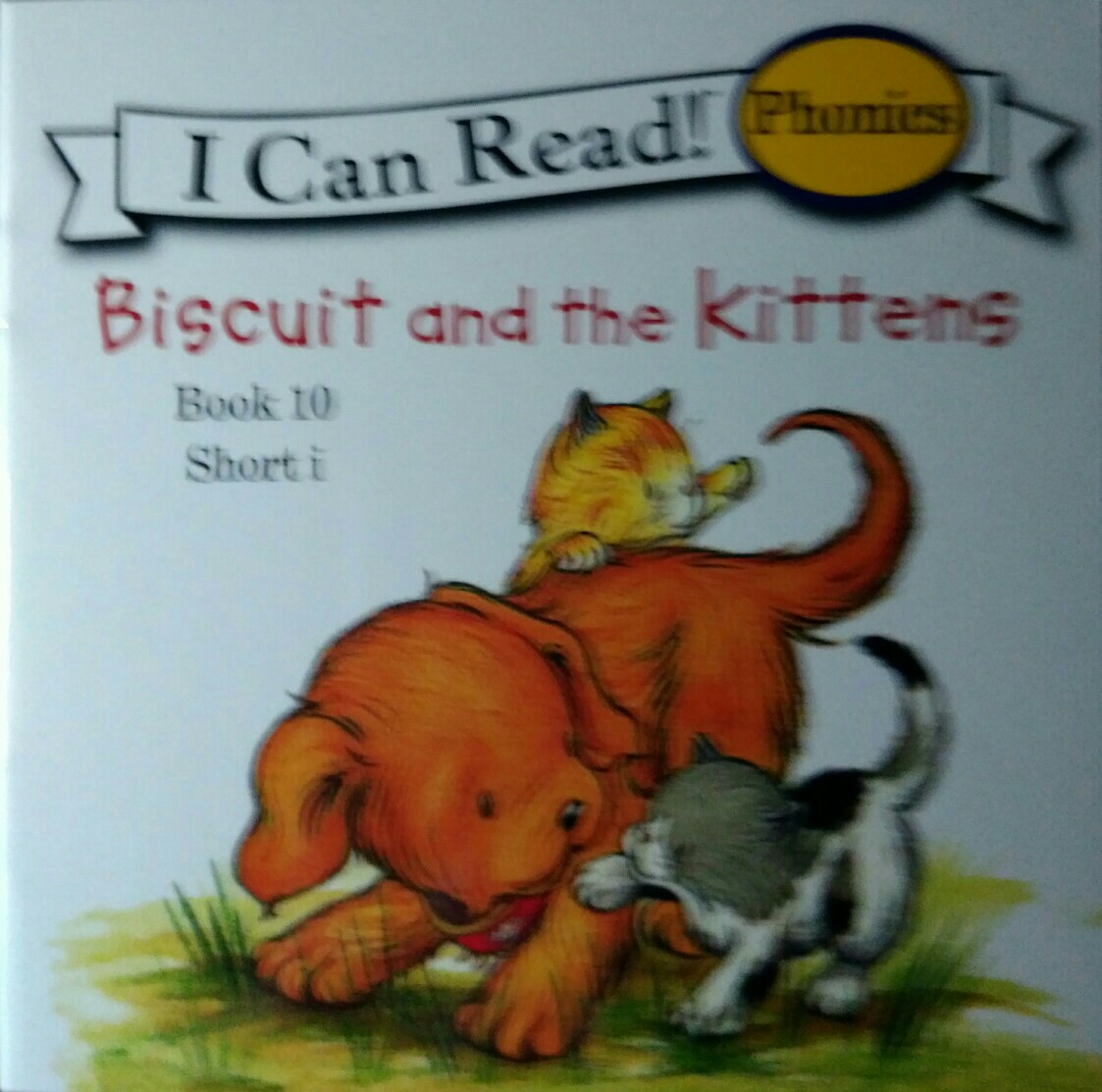 10.Biscuit and the Kitty