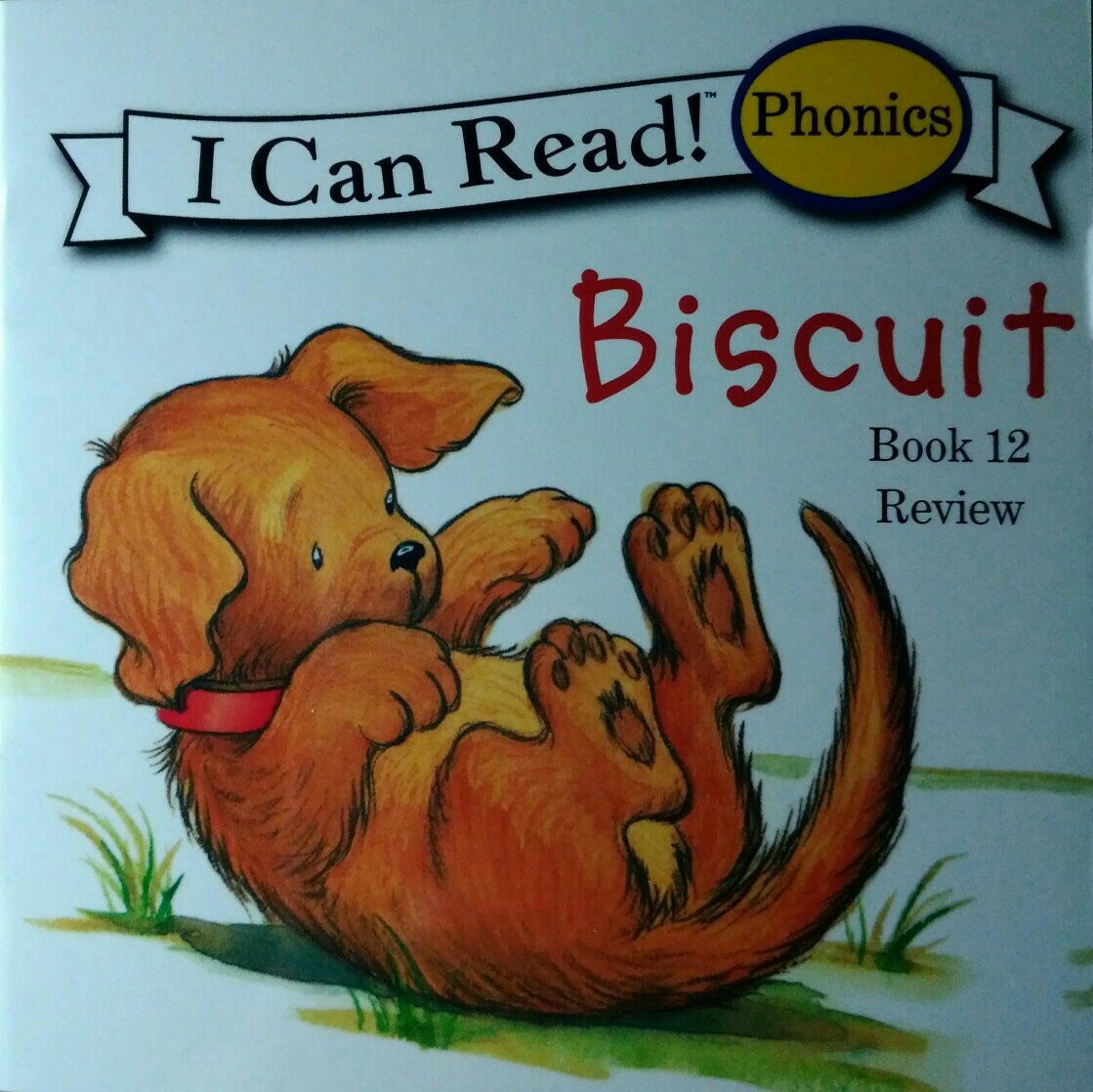 12.Biscuit