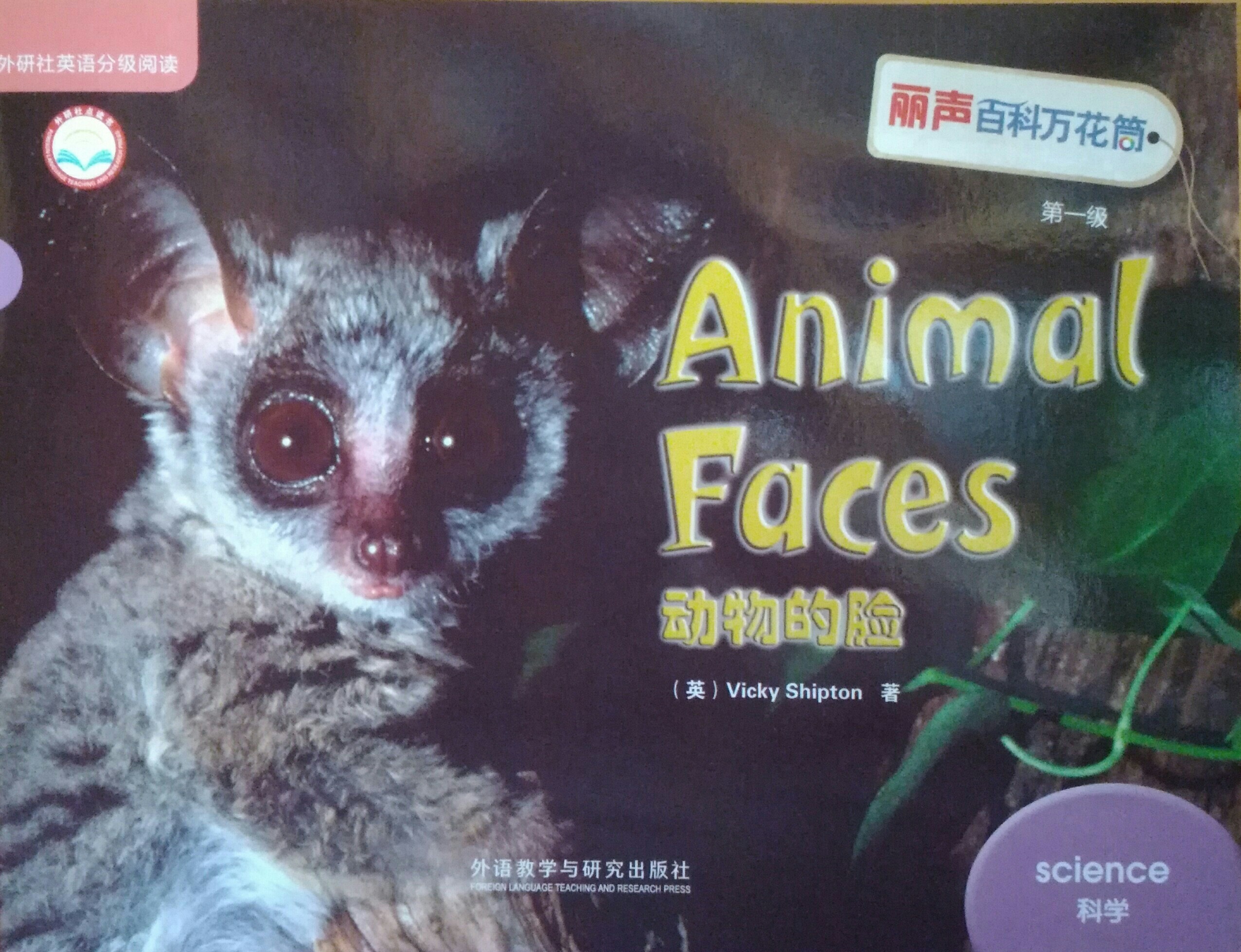 2.Animal Faces