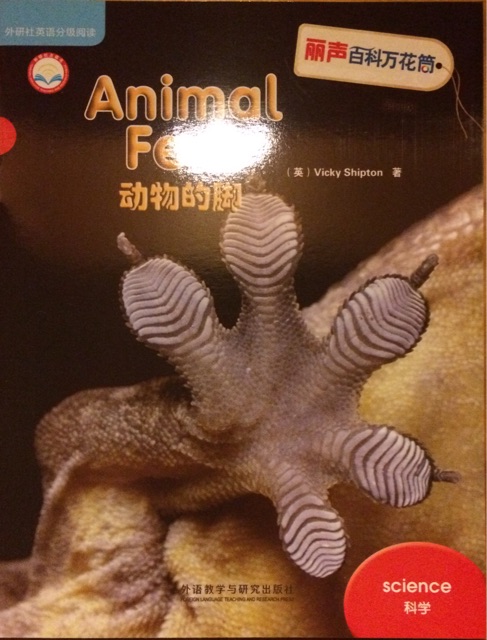 8.Animal Feet