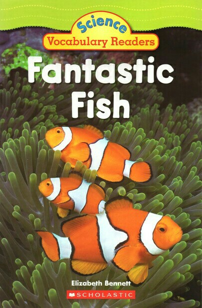 Fantastic Fish