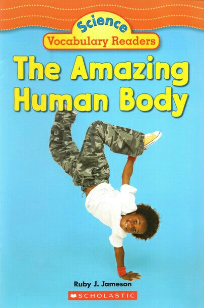 The Amazing Human Body