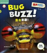 Bug Buzz!