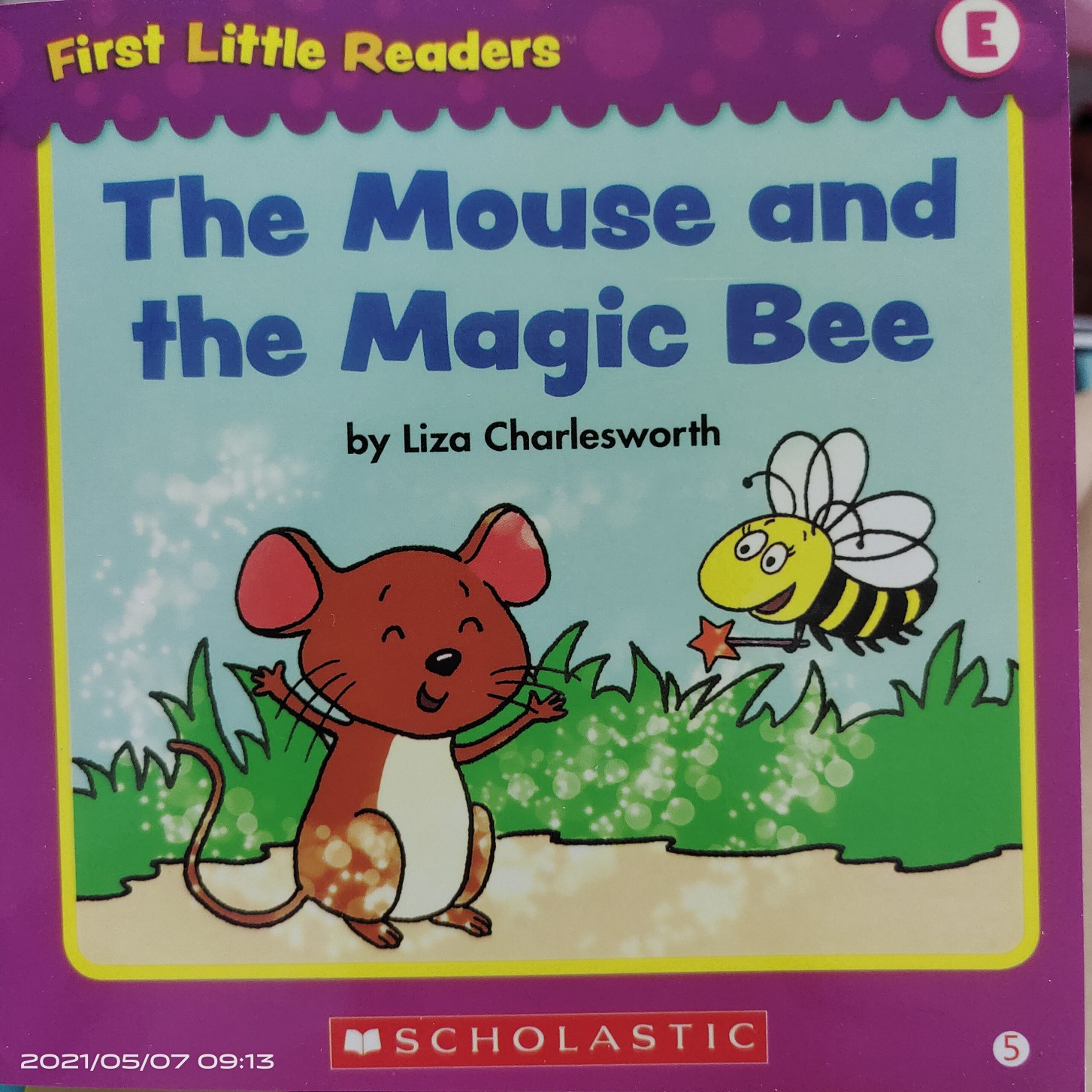 First Little Readers Level E: the mouse and the magic bee