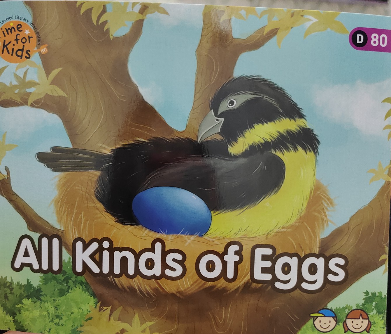 Heinemann level D  Gk-80: all kinds of eggs