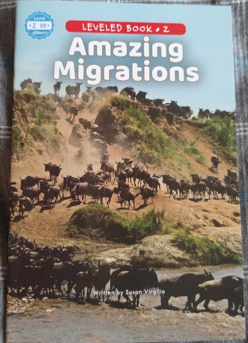 Amazing Migrations (RAZ Z)