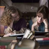 木槿木槿花又开