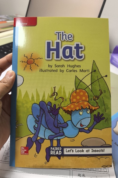 the hat