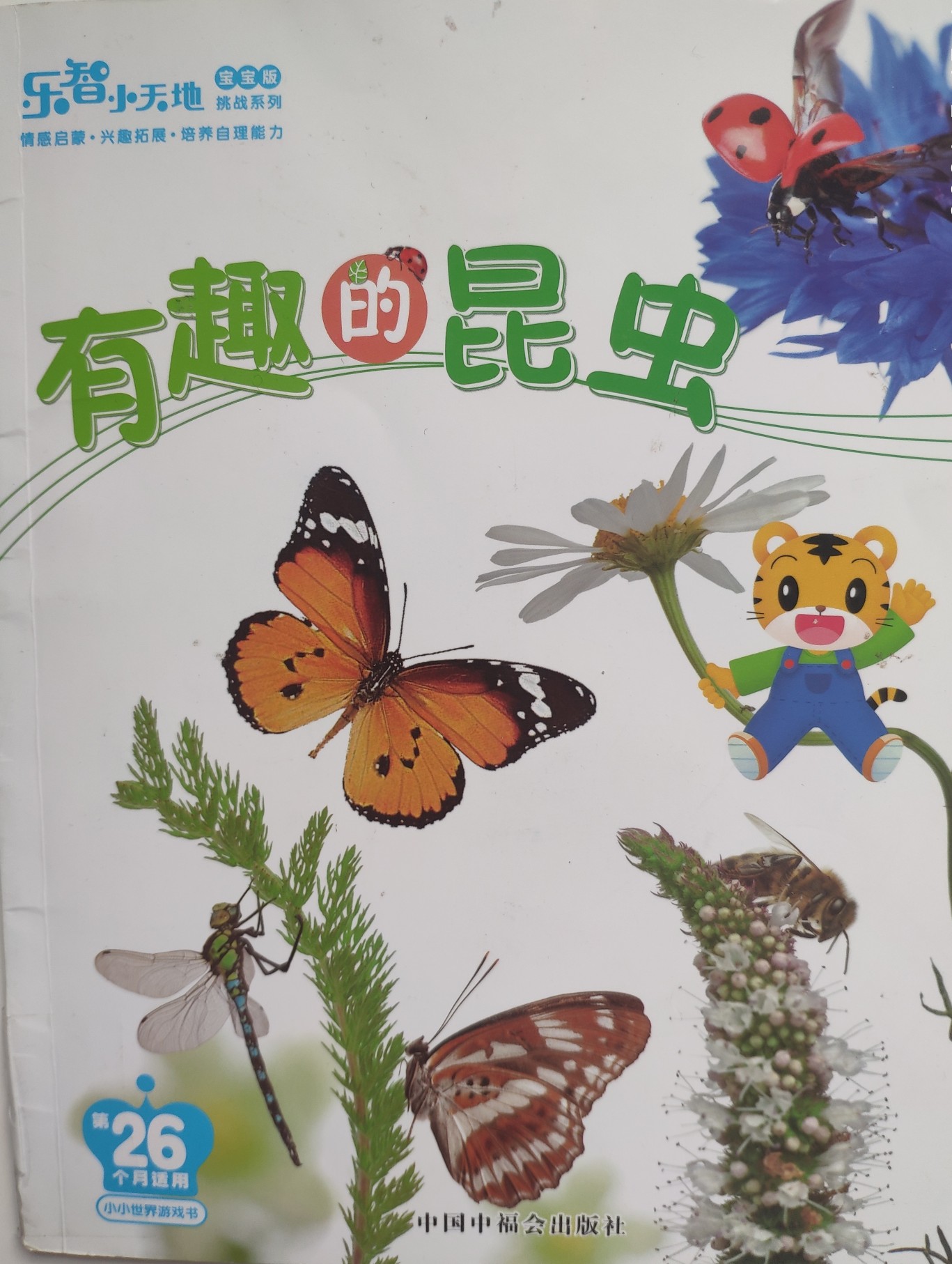 有趣的昆蟲