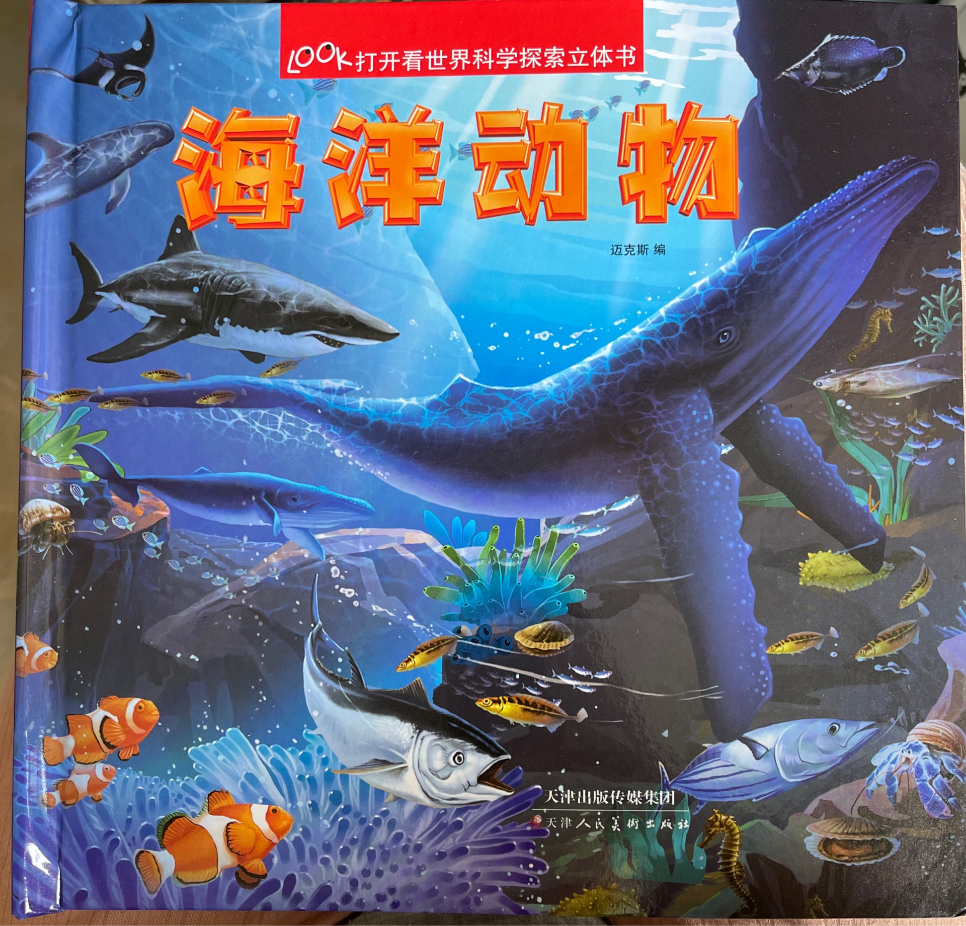 海洋動物立體書