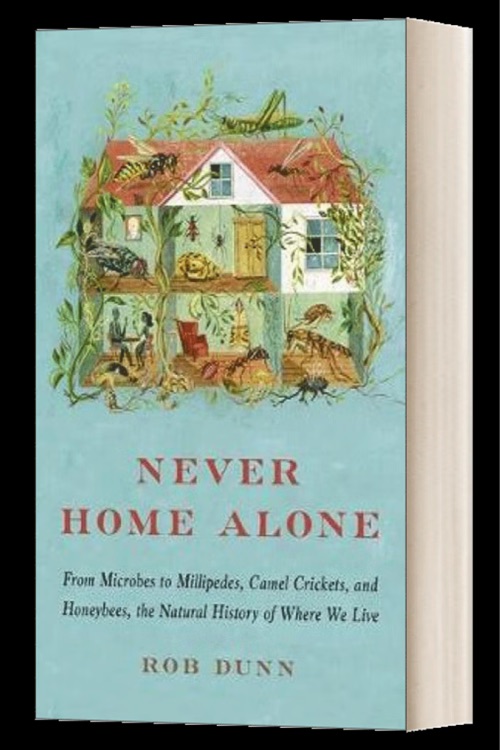 Never home alone