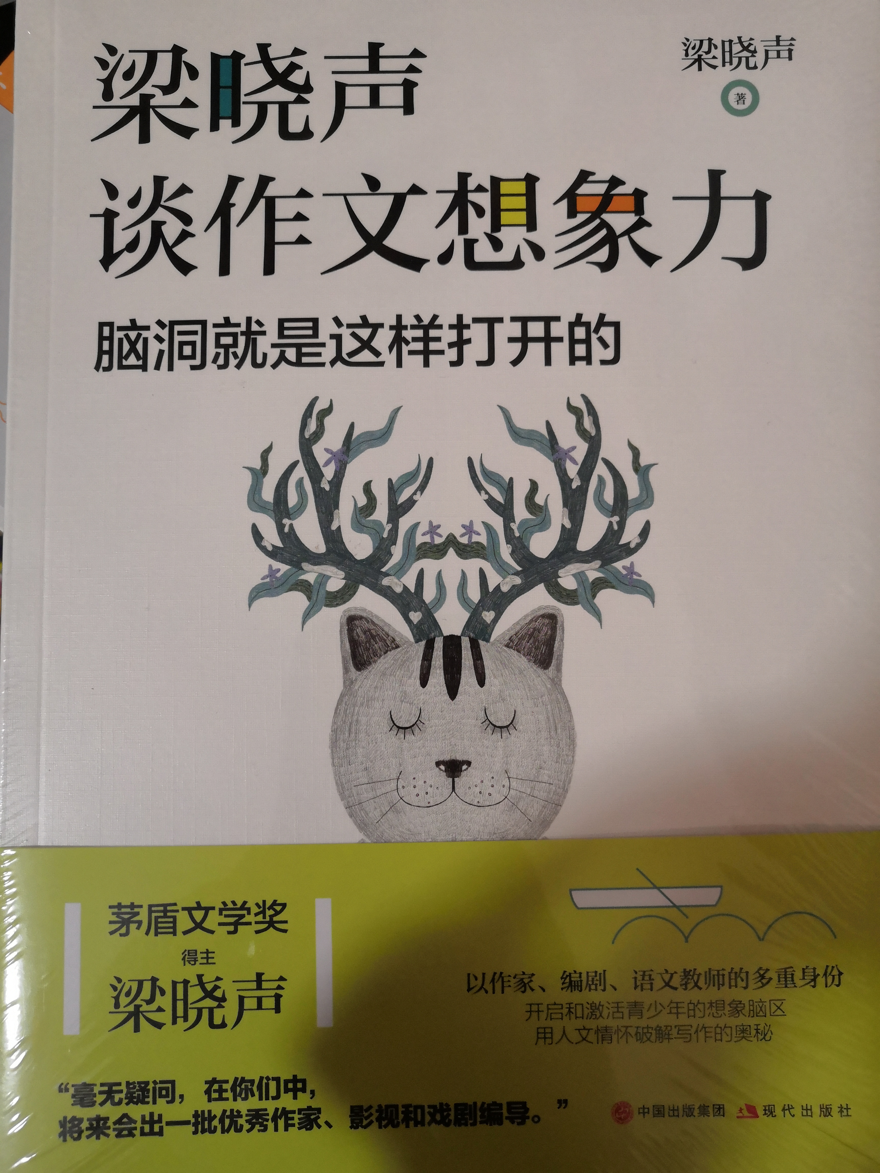 梁曉聲談作文想象力
