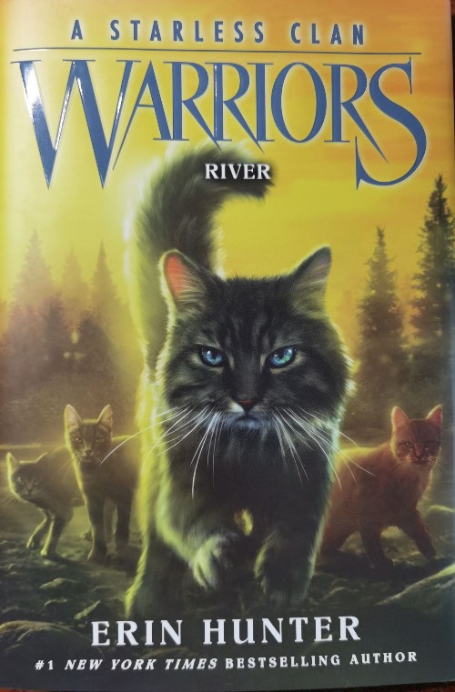 Warriors River a starless clan