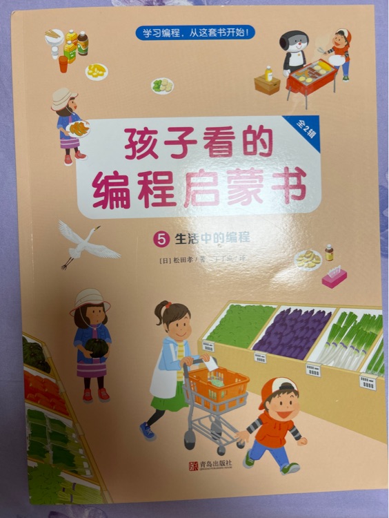 孩子看的編程啟蒙書 5