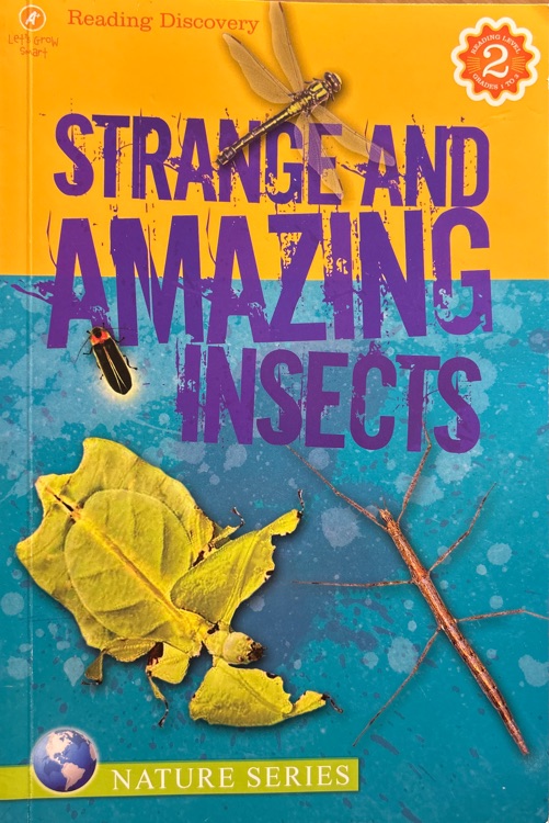 Strange and amazing insects