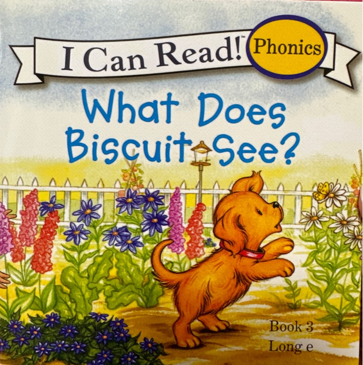 What Does Biscuit See?